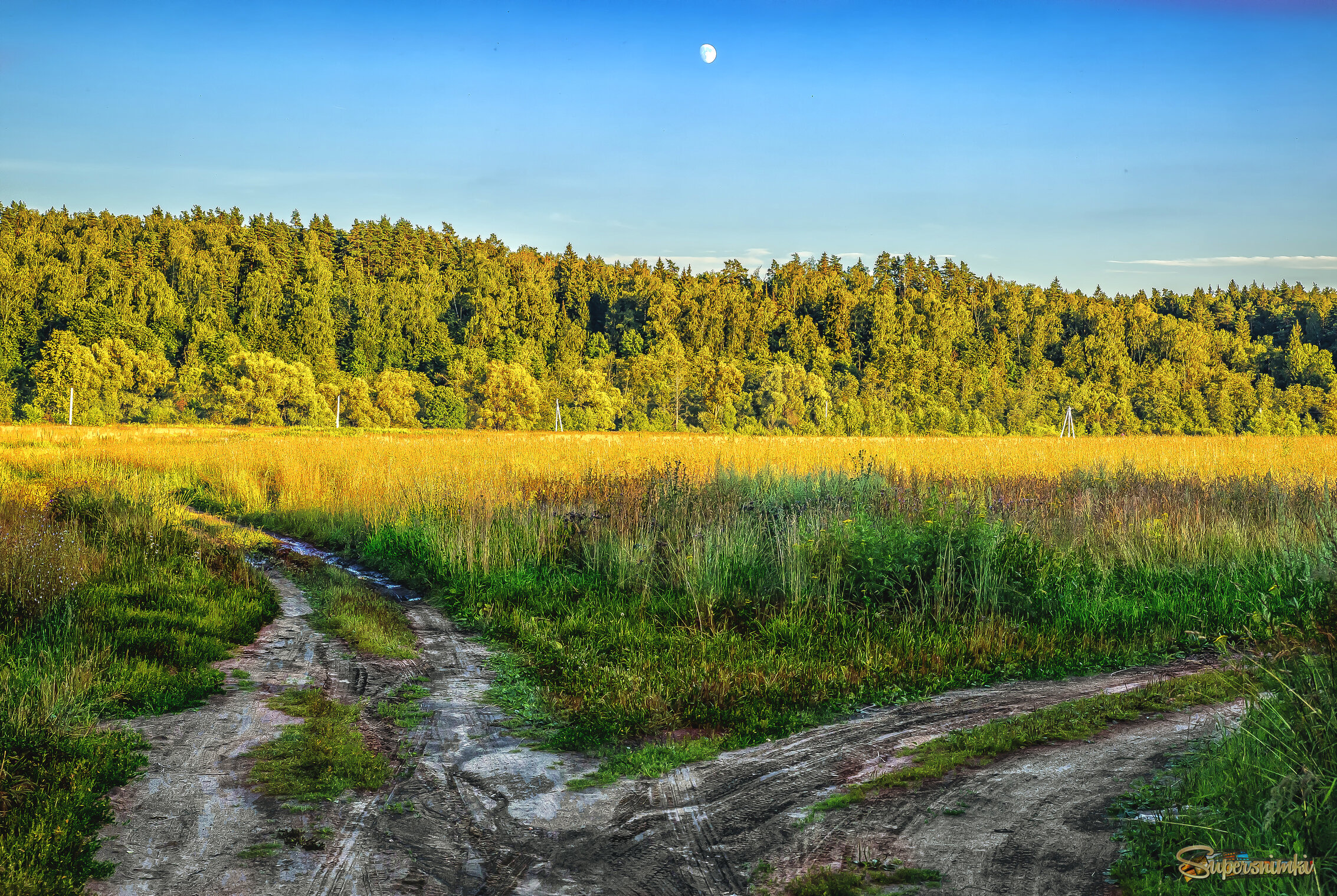 У развилки...