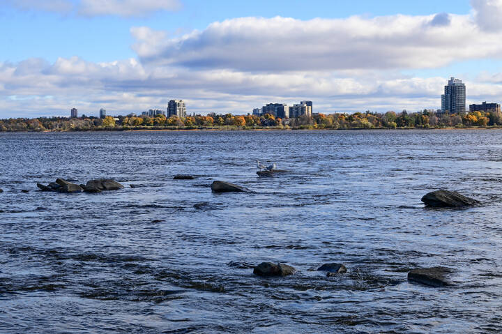 Пороги Оттавы реки