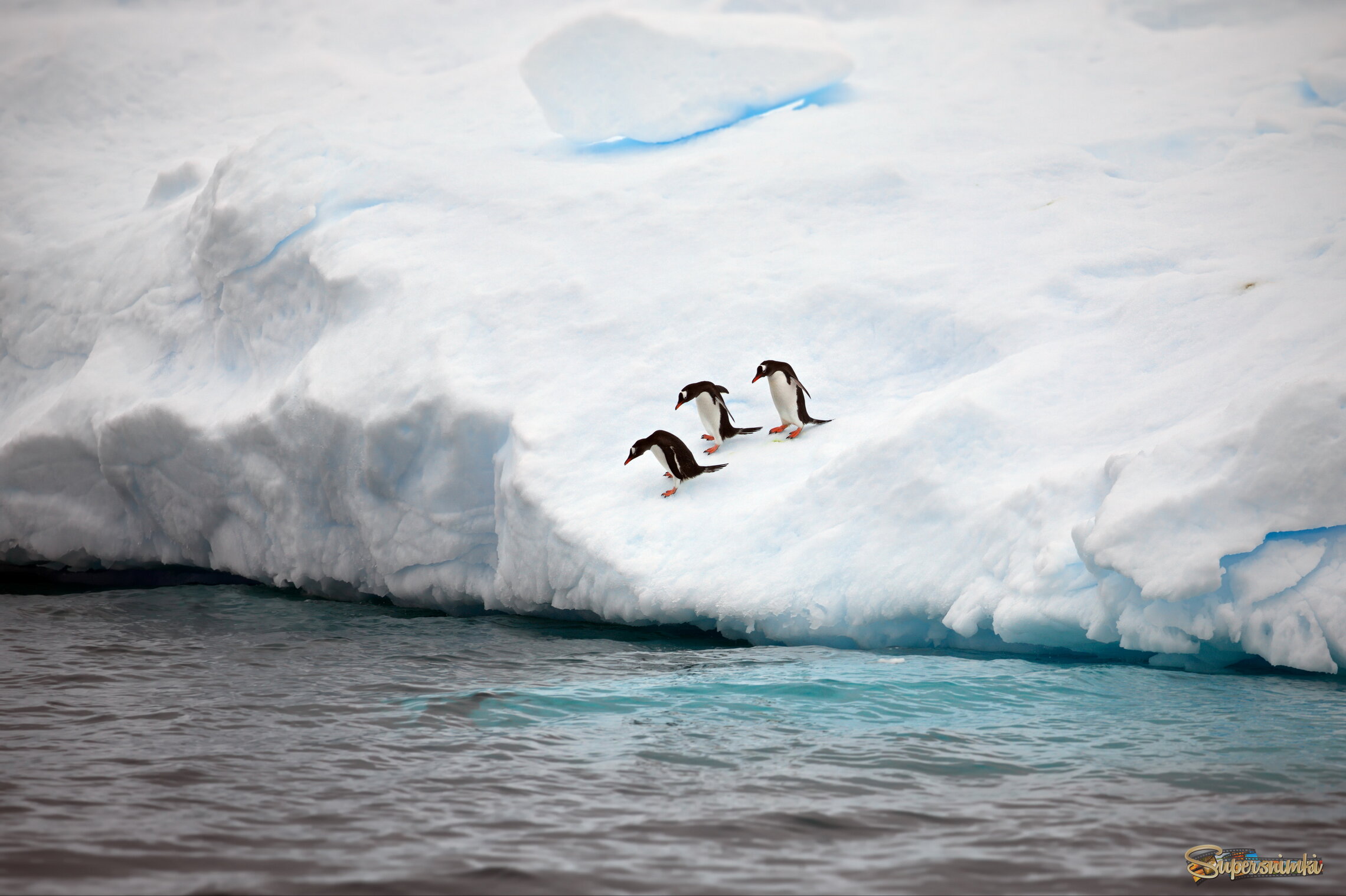 Трое отважных