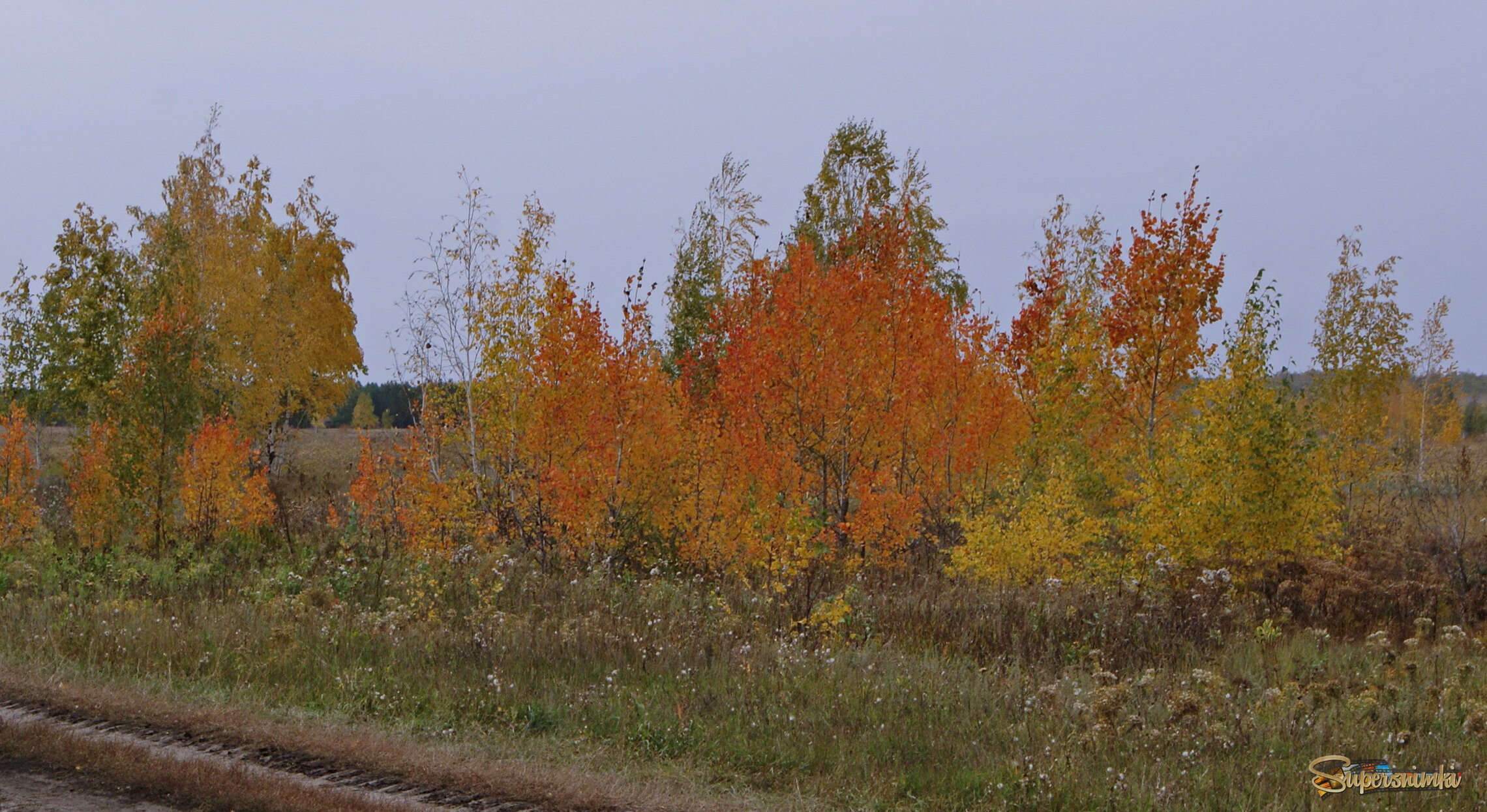 Краски сентября.