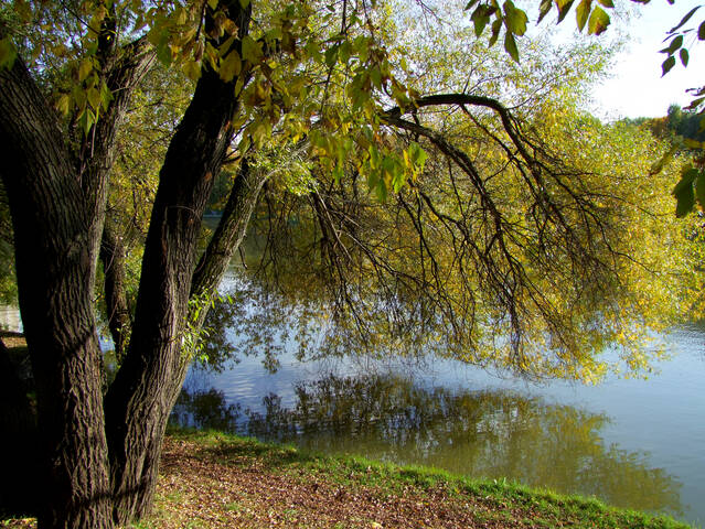 Городской парк