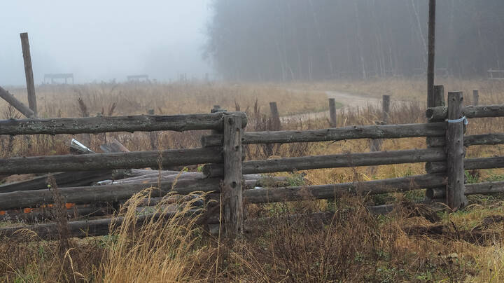 Подмосковные Пейзажи