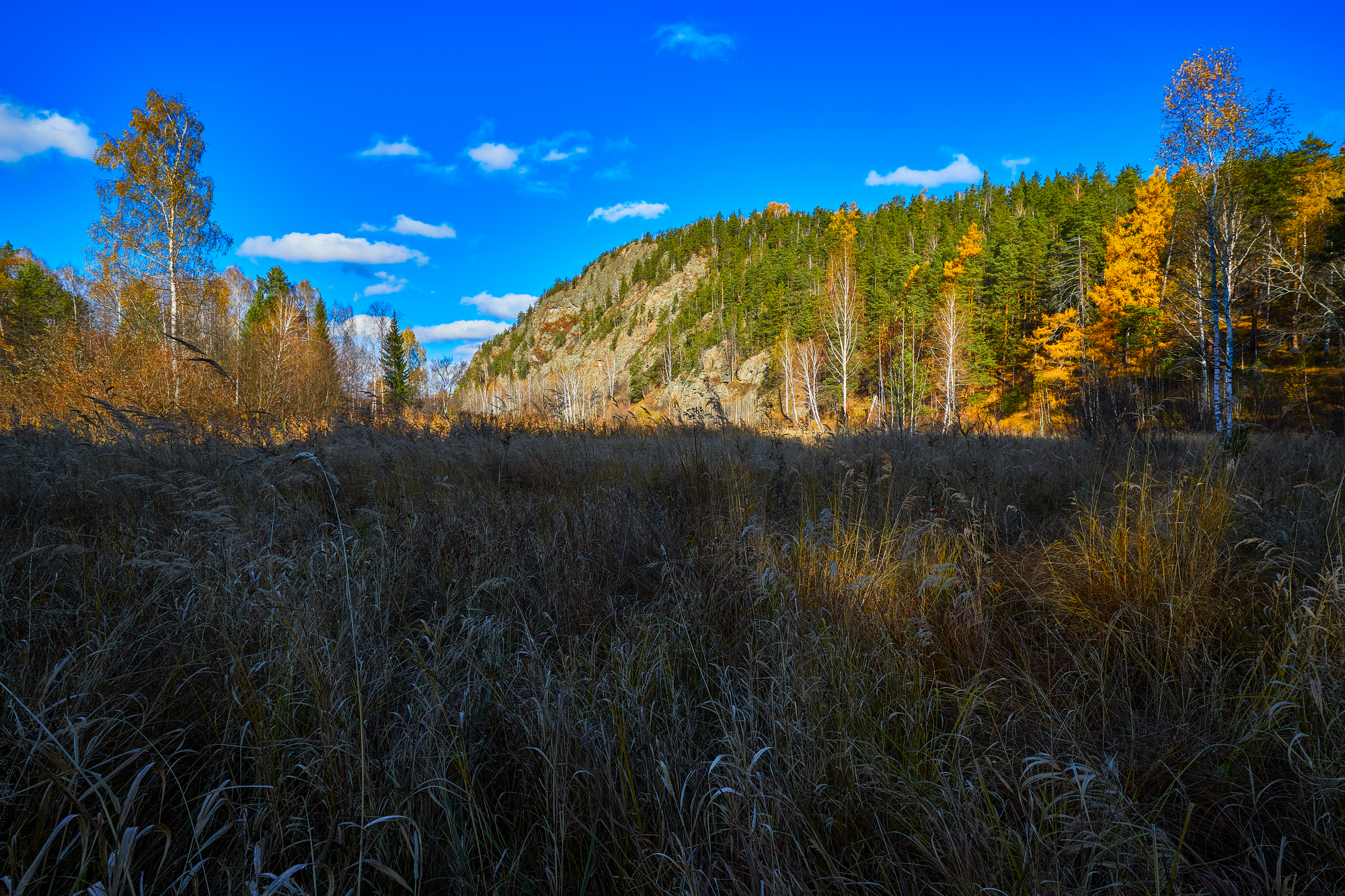 Солнечное утро октября.