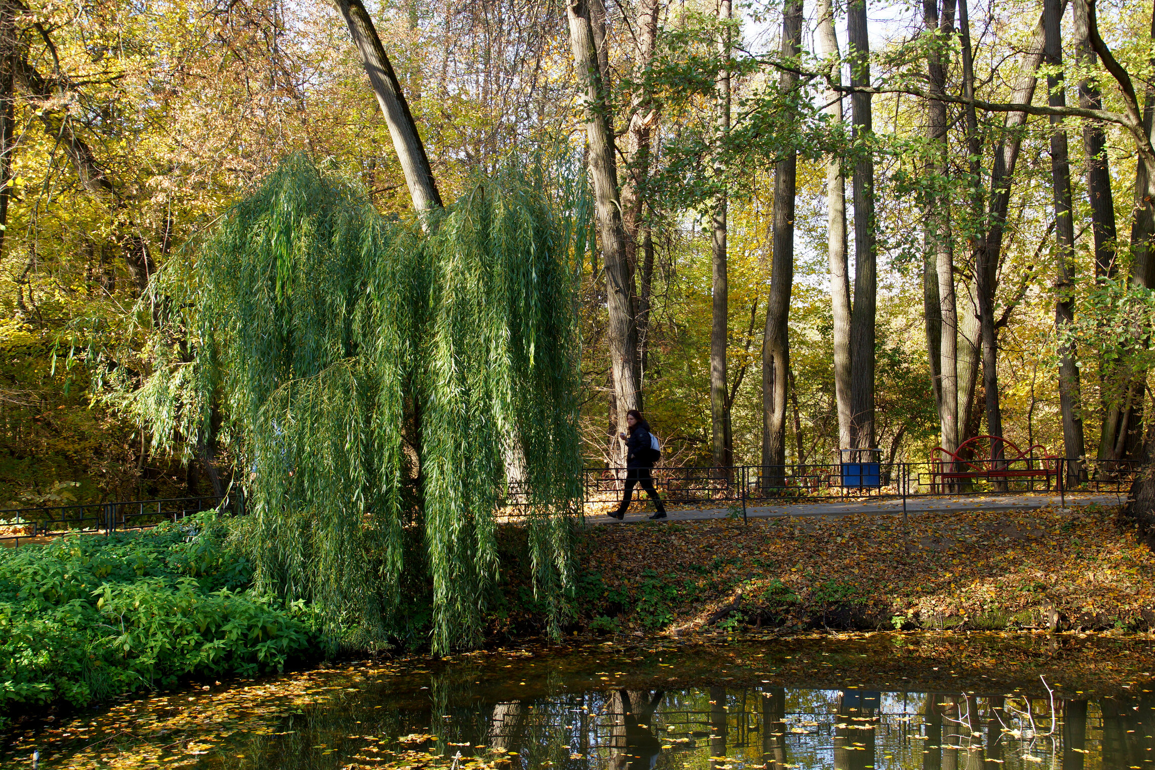 Кузьминский парк