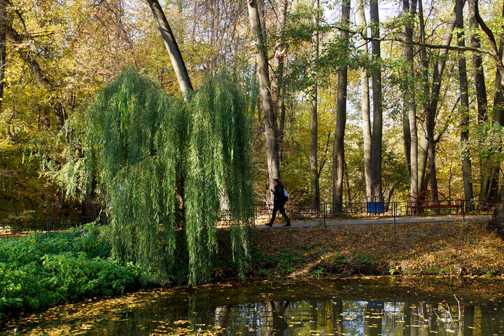 Кузьминский парк