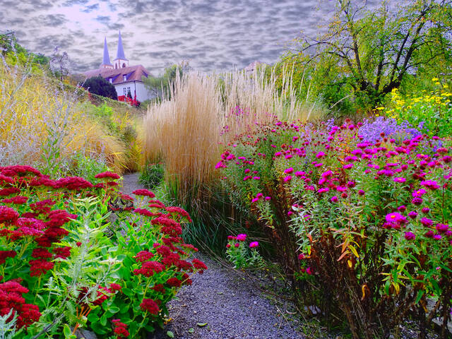 Отцвели уж давно хризантемы в саду.