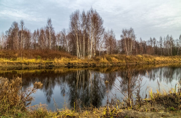 Во такая зима в Подмосковье 2 