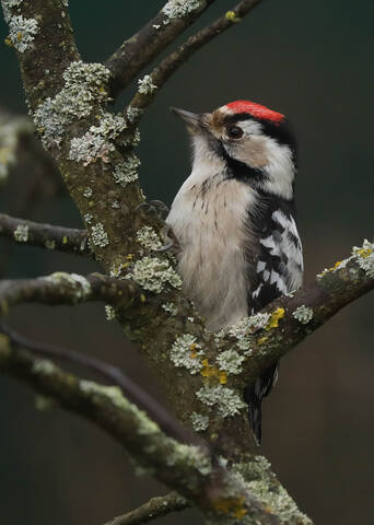 Ну,  что сказать?