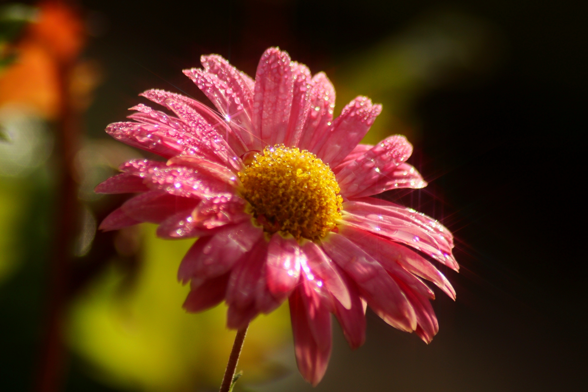  Доброе утро