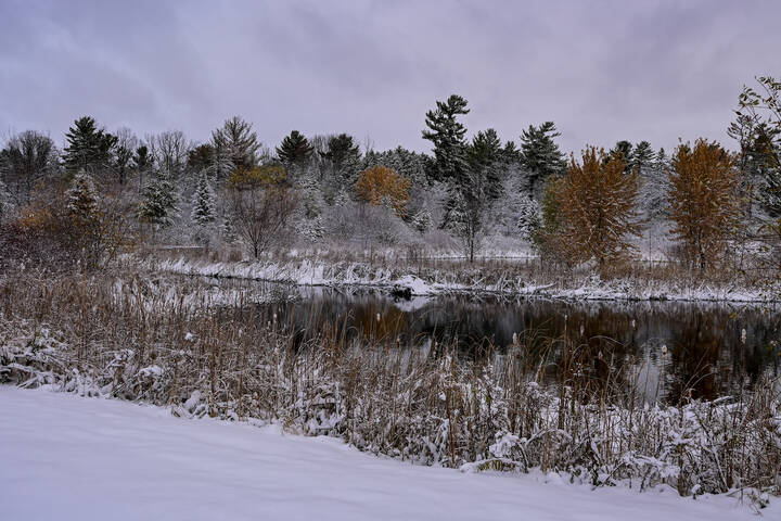 Рядом с озерком