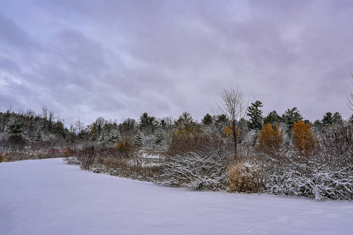 Рядом с озерком