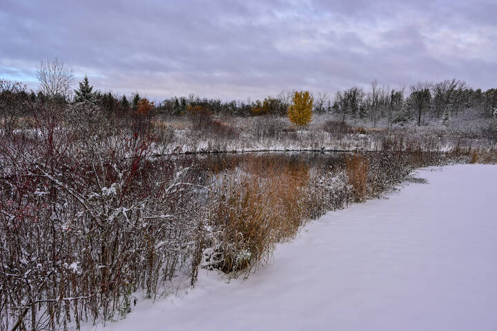 Рядом с озерком