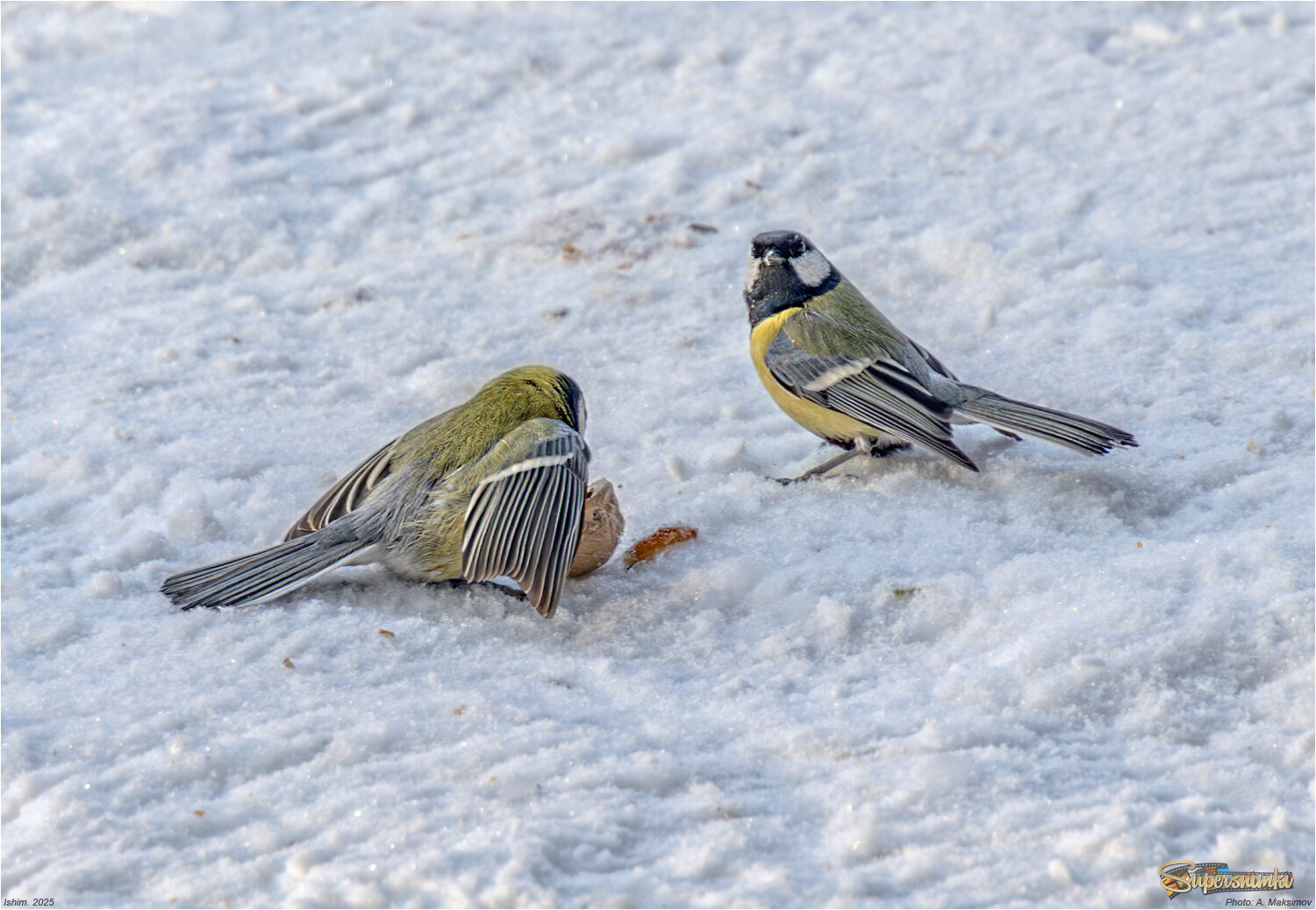 Что смотришь, самим мало?!