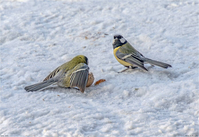 Что смотришь? Самим мало!