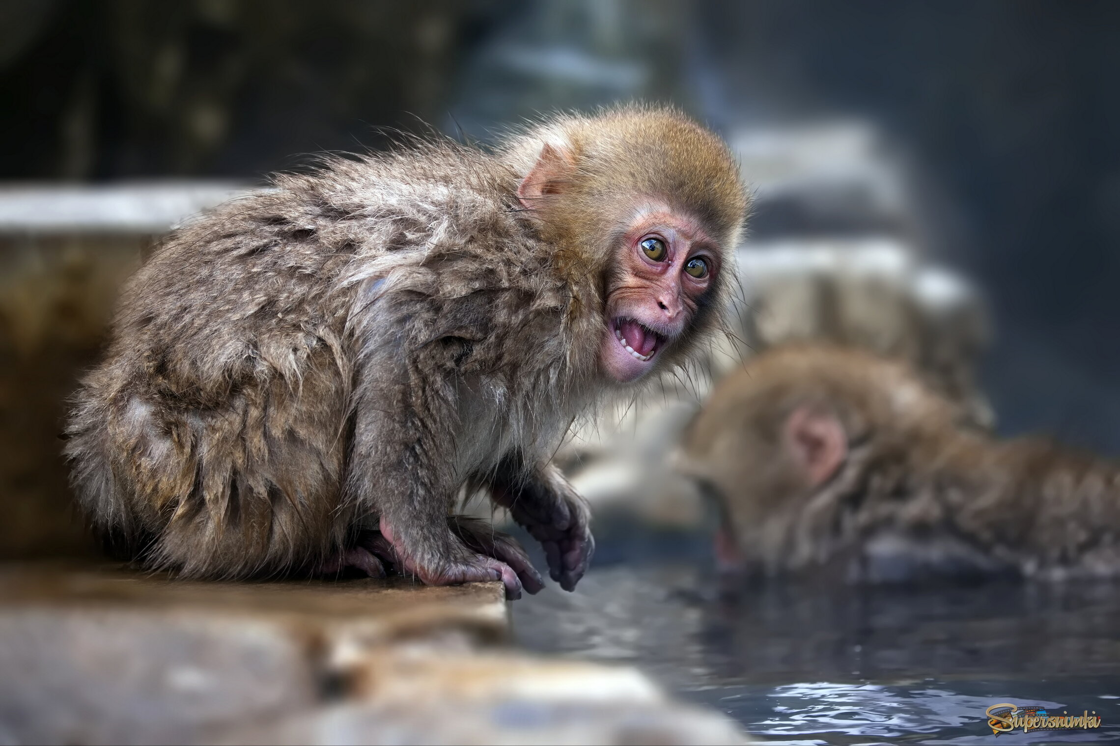 Интересно, ЧТО или КОГО она увидела!?)