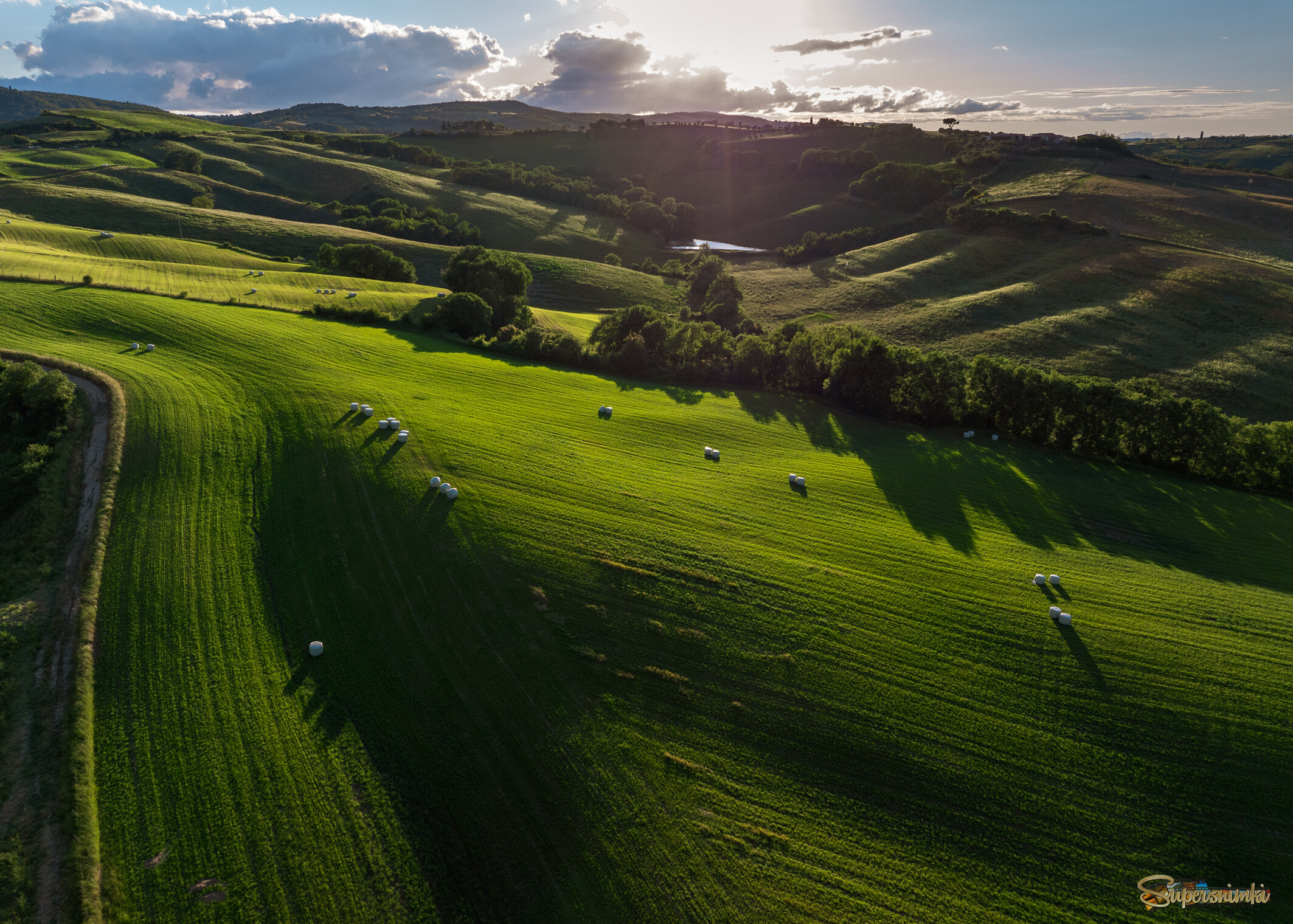 Зелёные поля