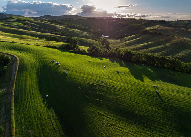 Зелёные поля