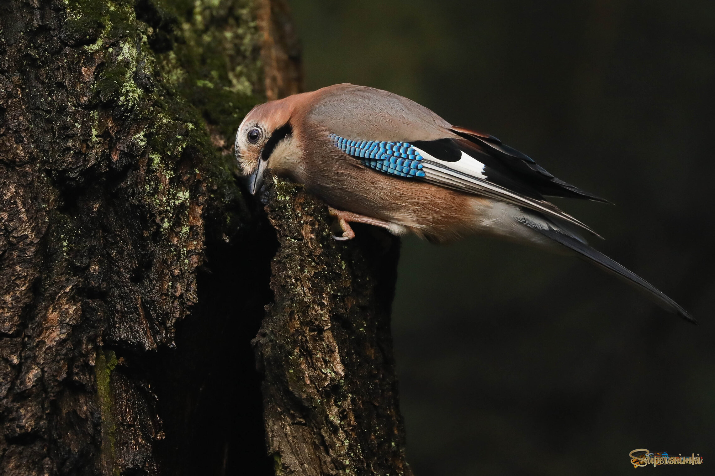 Что новенького?