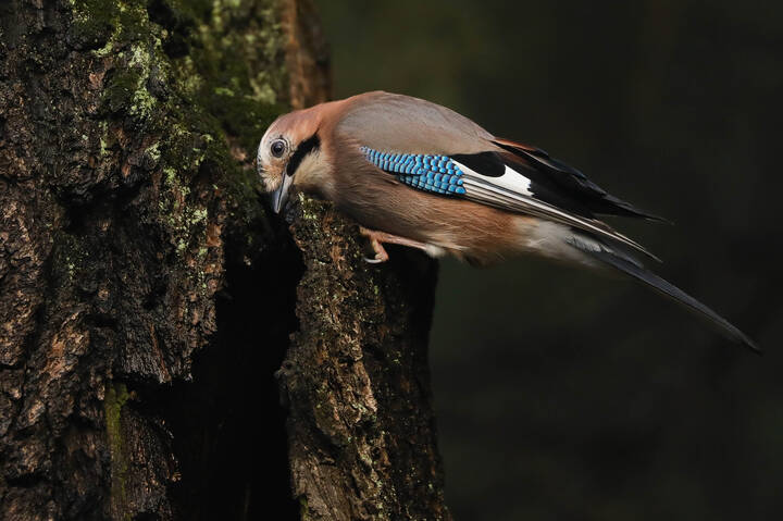 Что новенького?