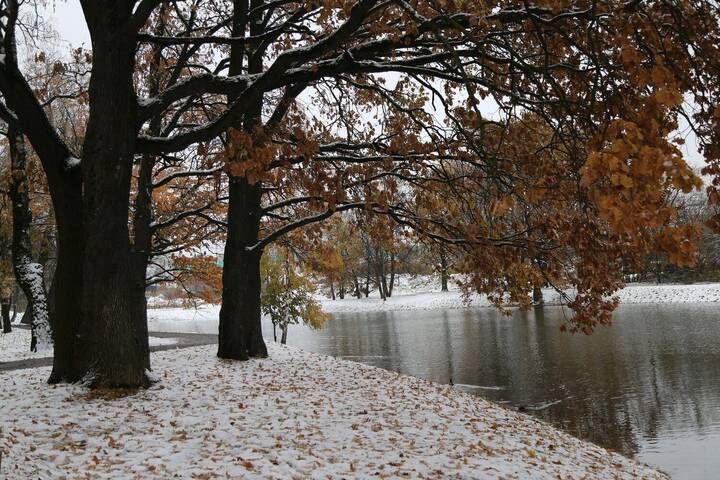 Первый снег