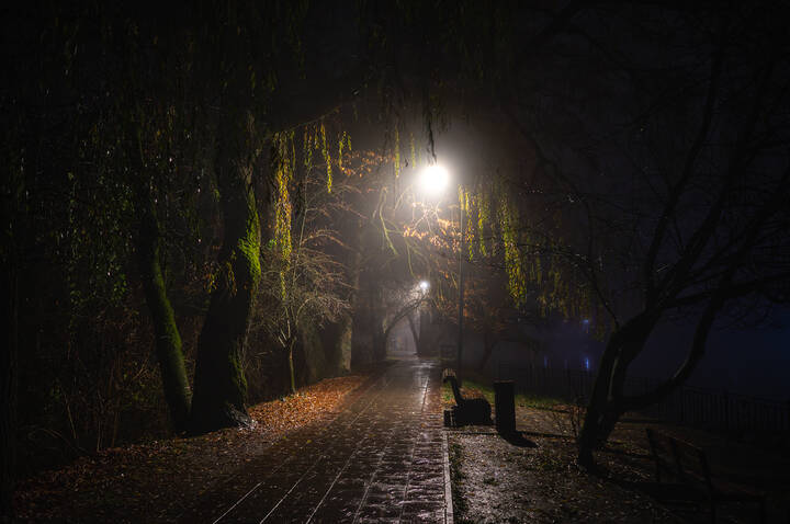 Туманное утро в "Атажукинском саду"
