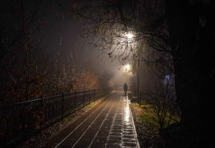 Туманное утро в "Атажукинском саду"