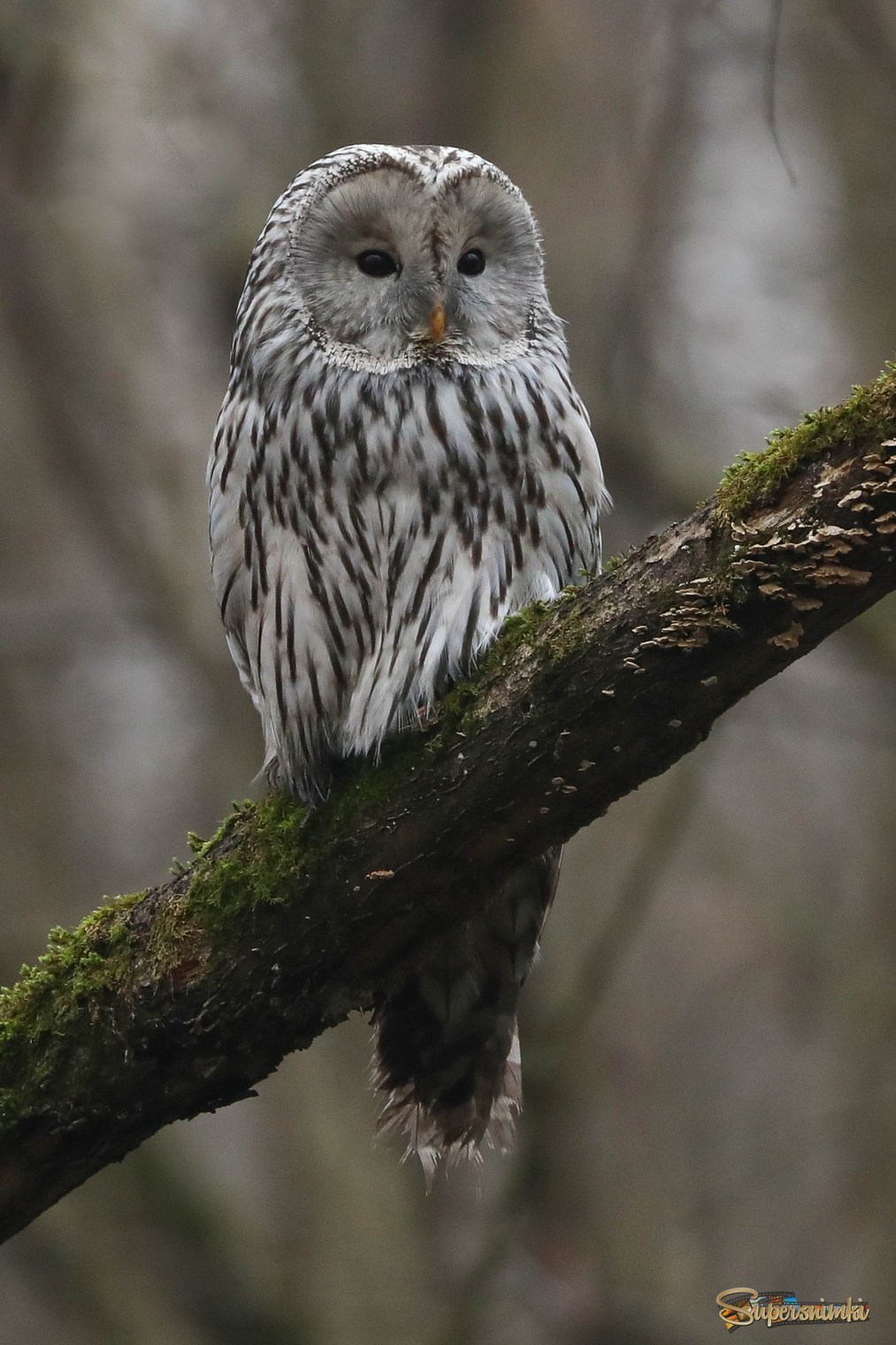Утро. Пора отдыхать. 