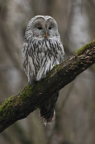 Утро. Пора отдыхать. 