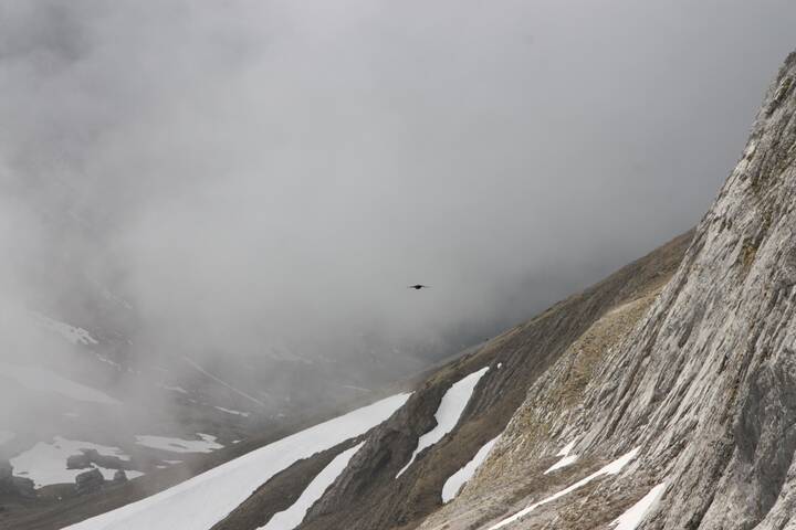 Альпы, зимы