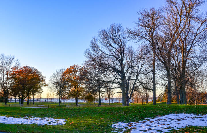 Клочки белого по зелёному