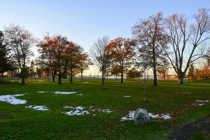 Клочки белого по зелёному