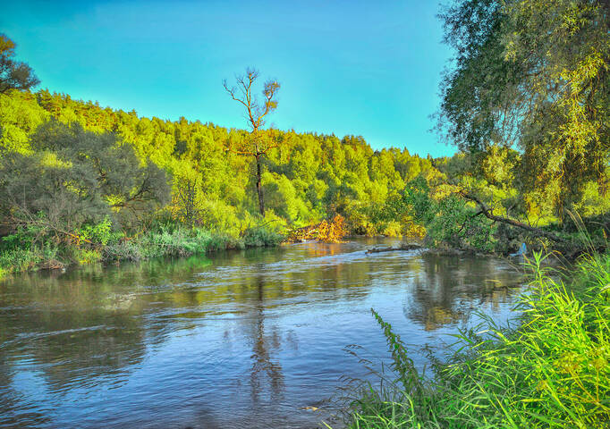 Летняя река