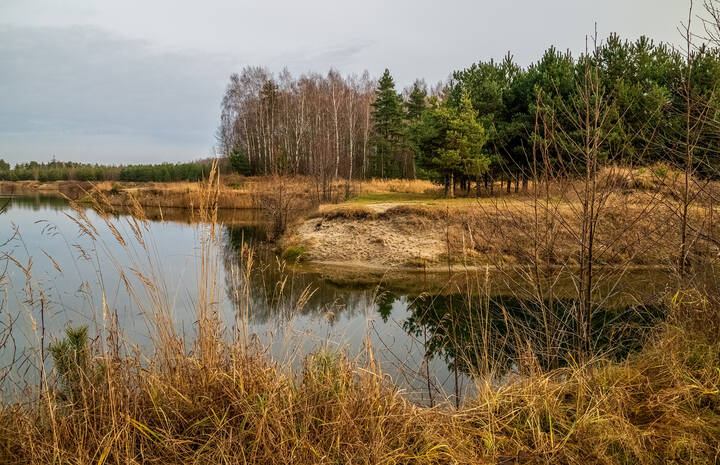 Во такая зима в Подмосковье 4 