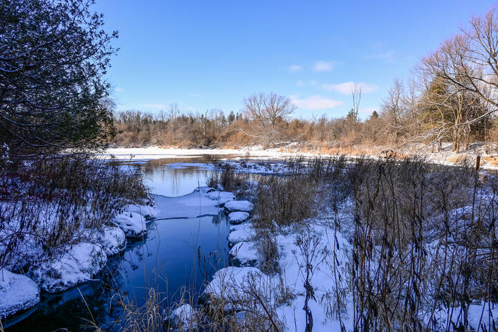 День с солнышком и без