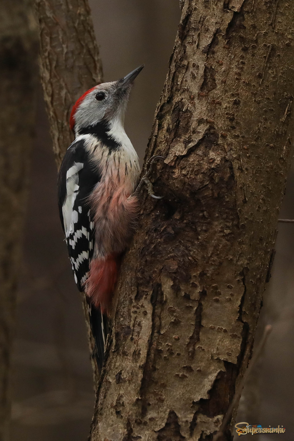 Боязно как-то... 