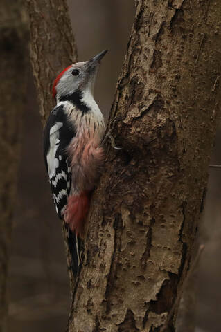 Боязно как-то... 