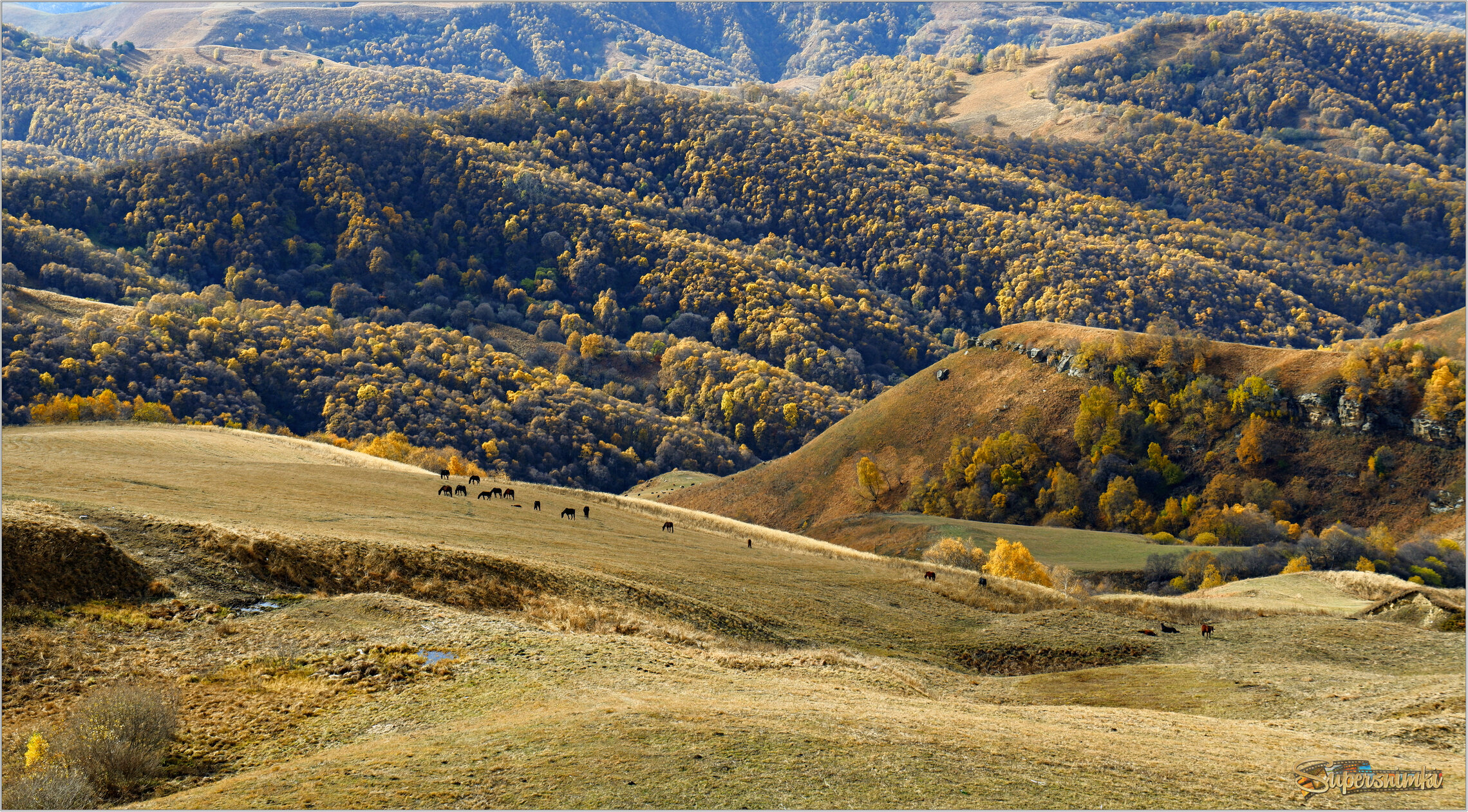 С видом на альпийские луга...