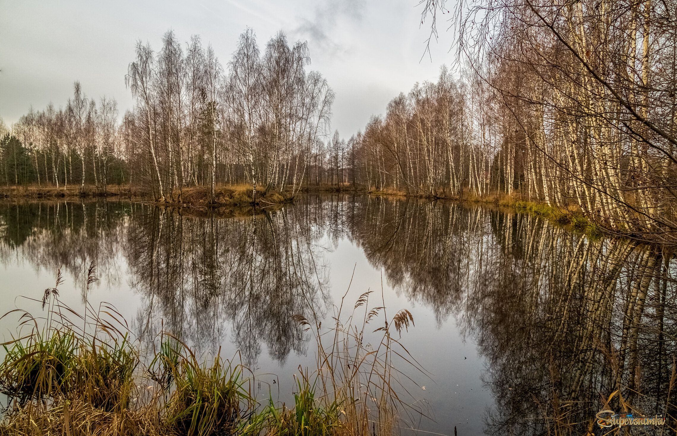 Во такая зима в Подмосковье 6 