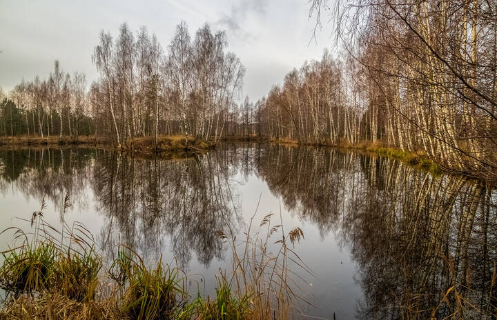 Во такая зима в Подмосковье 6 