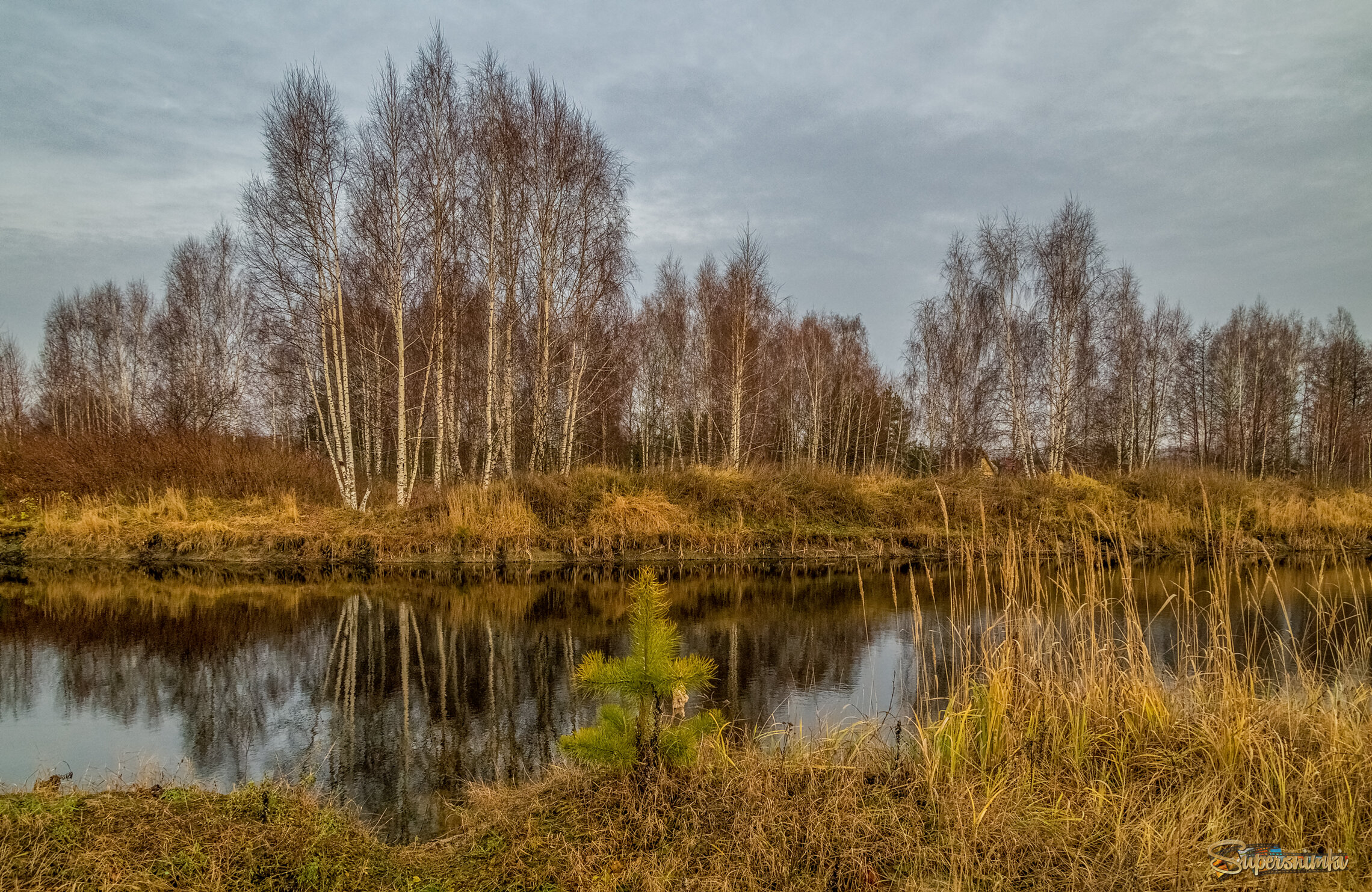 Во такая зима в Подмосковье 5 