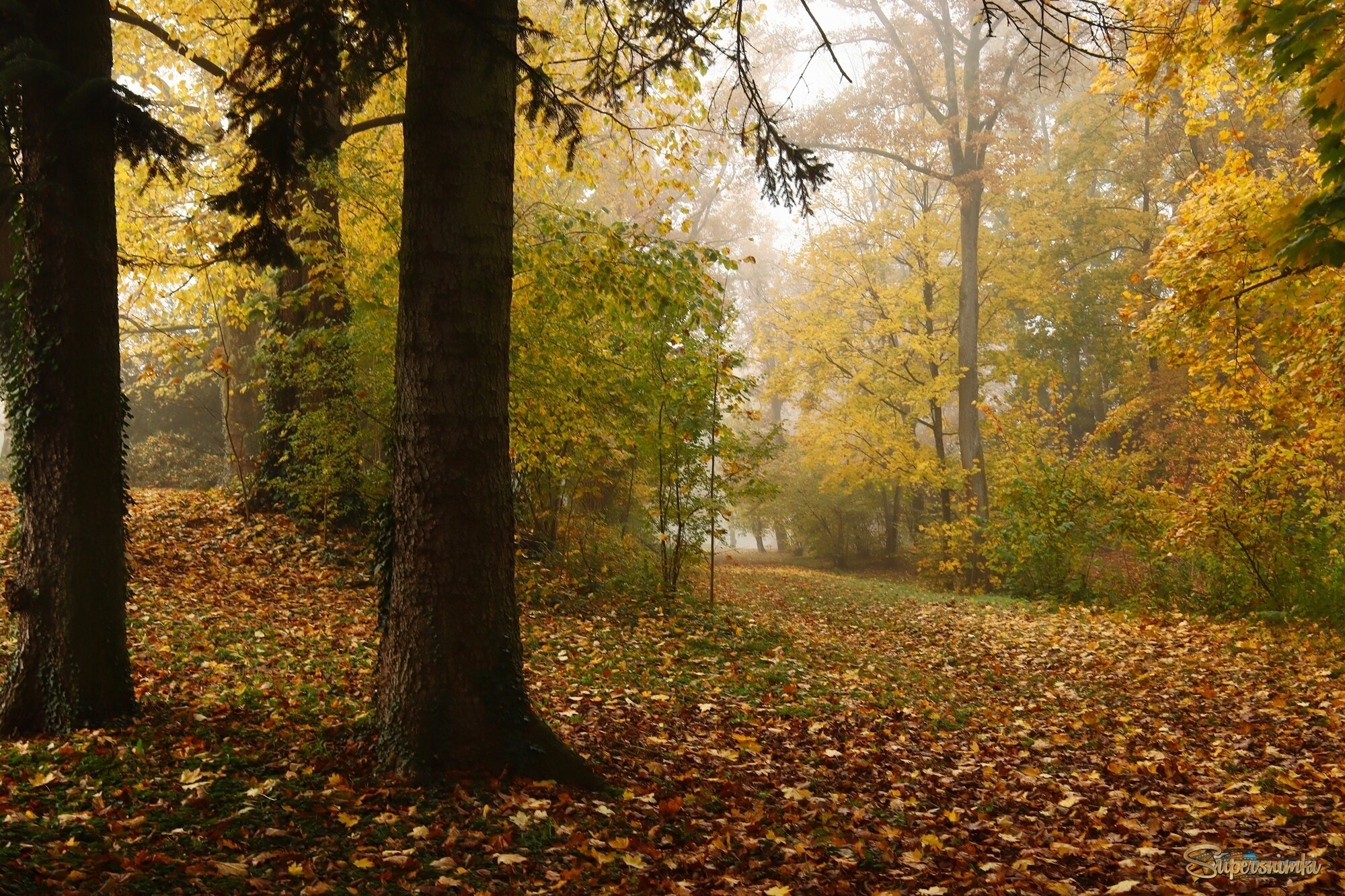 Ноябрьское утро