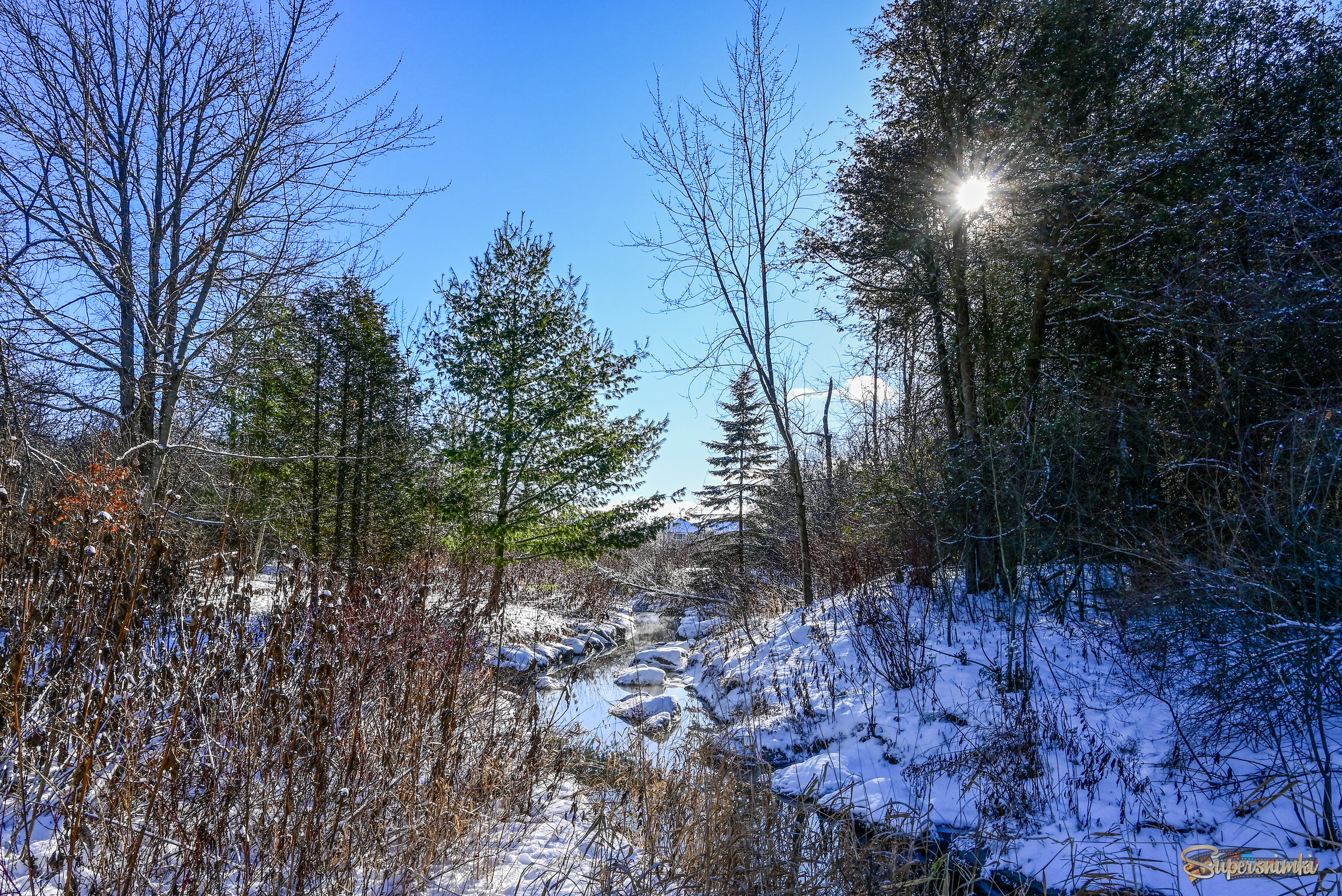 Ручеёчичек