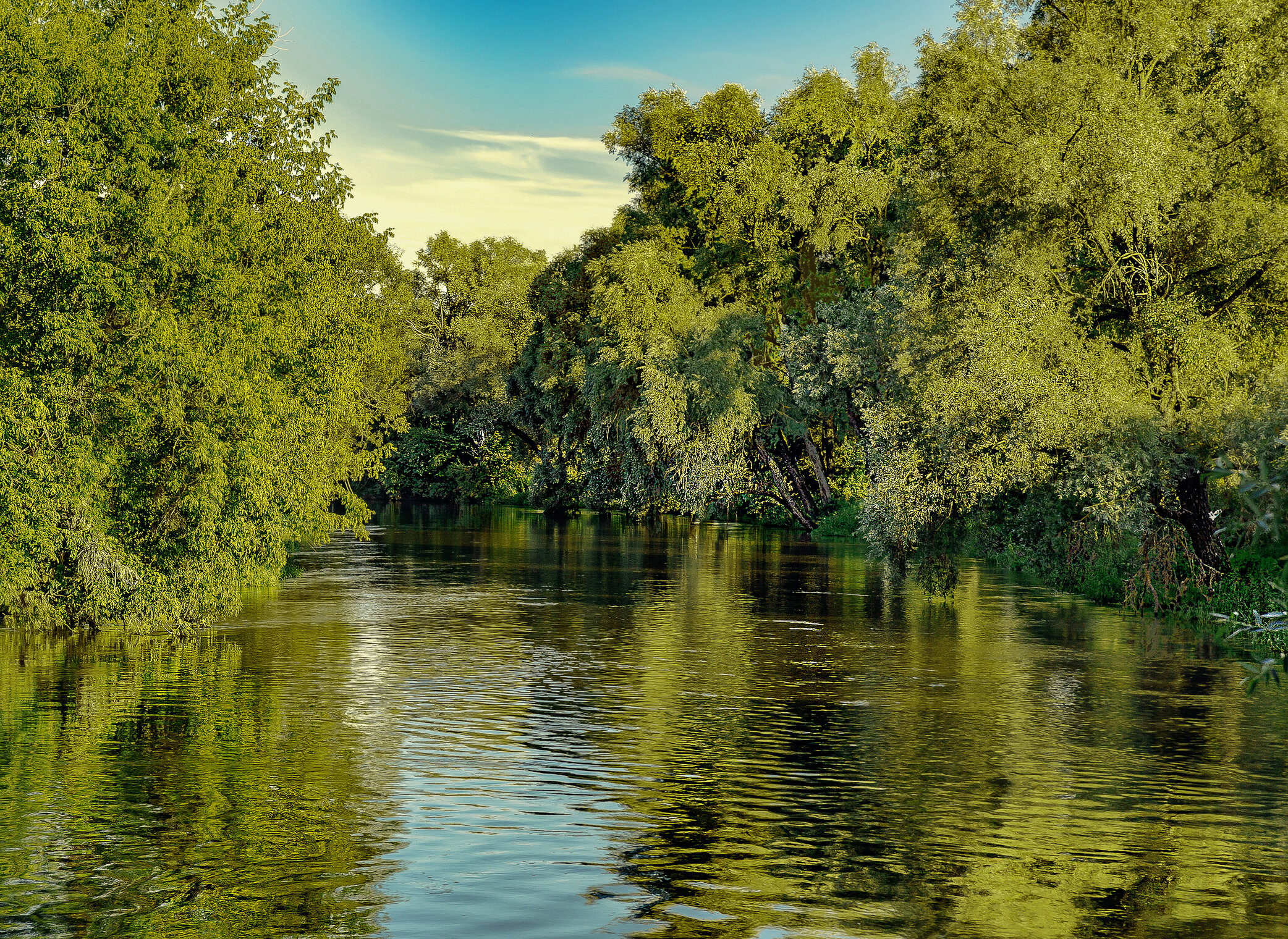 В тени деревьев.