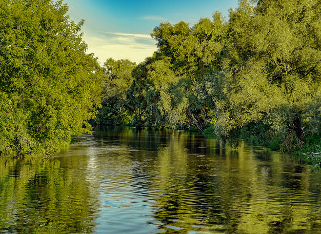 Текущая версия