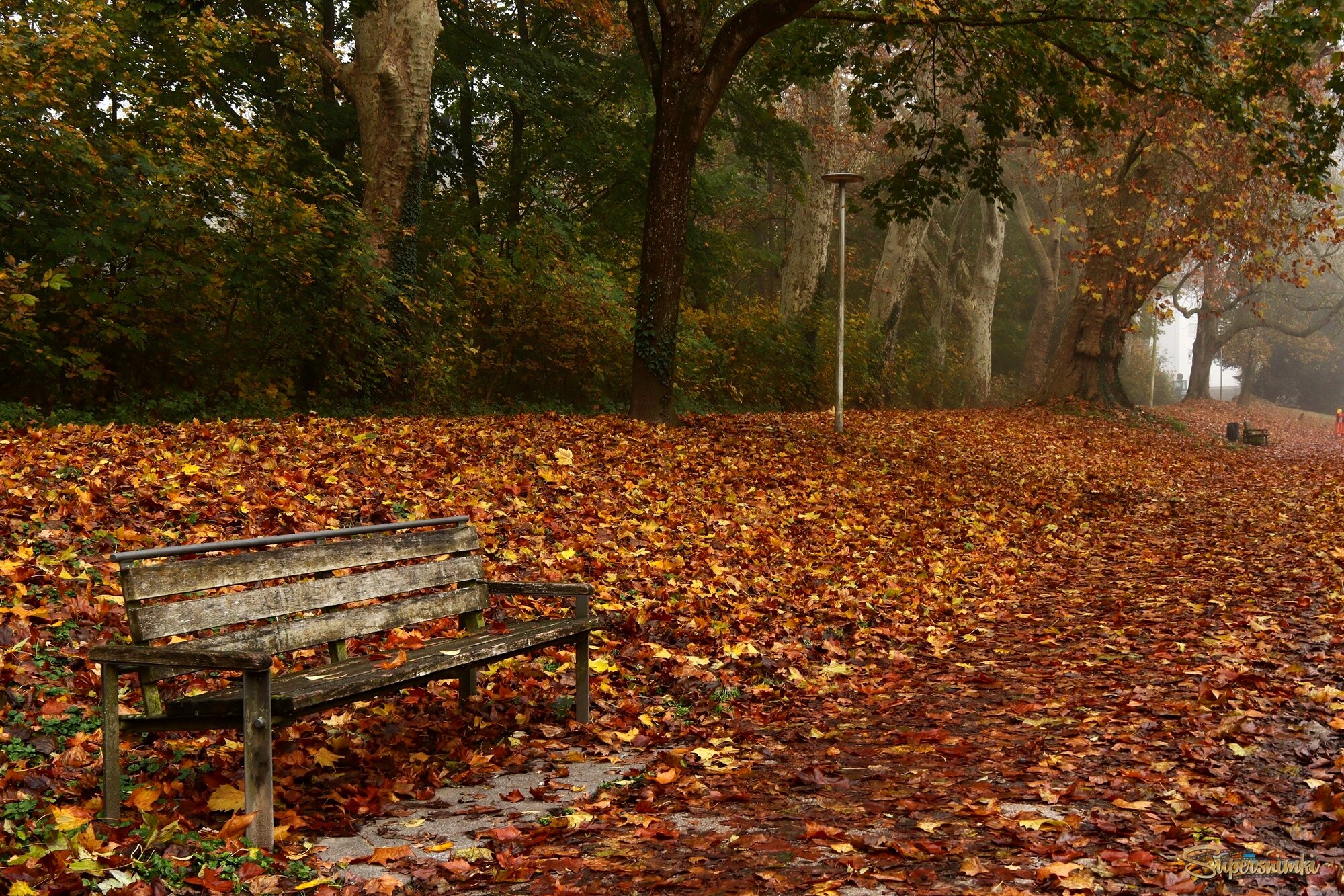 	 Старая скамейка загрустила в парке.