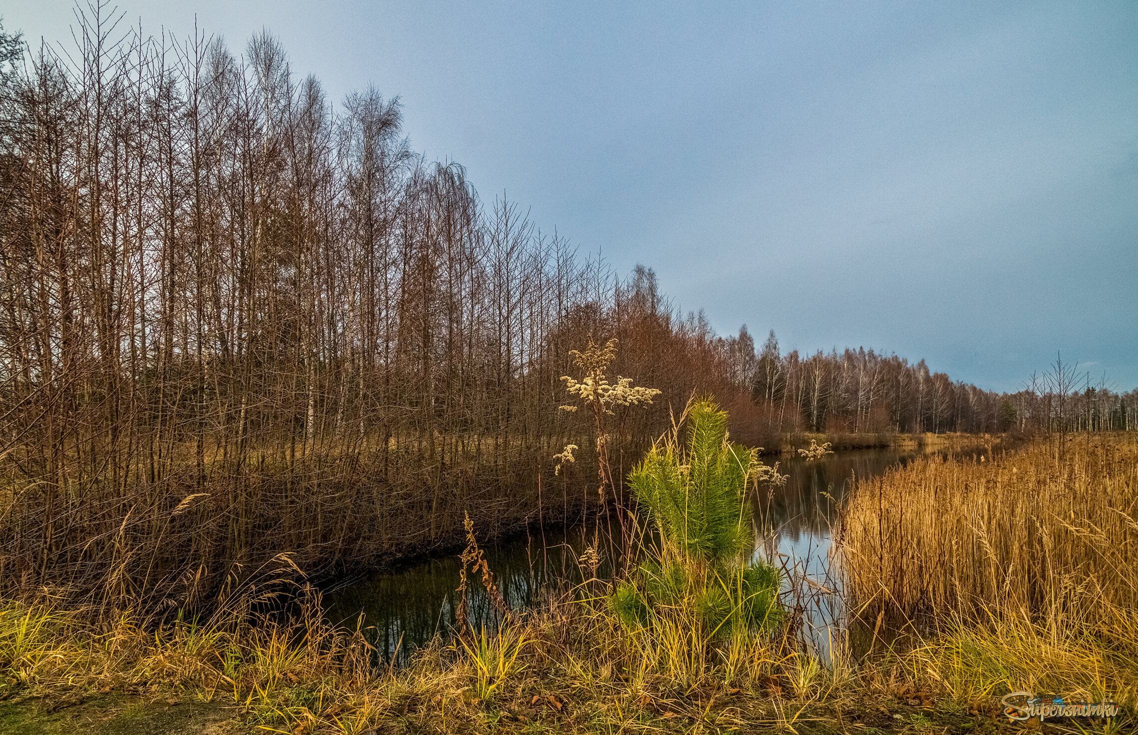 Во такая зима в Подмосковье 7 