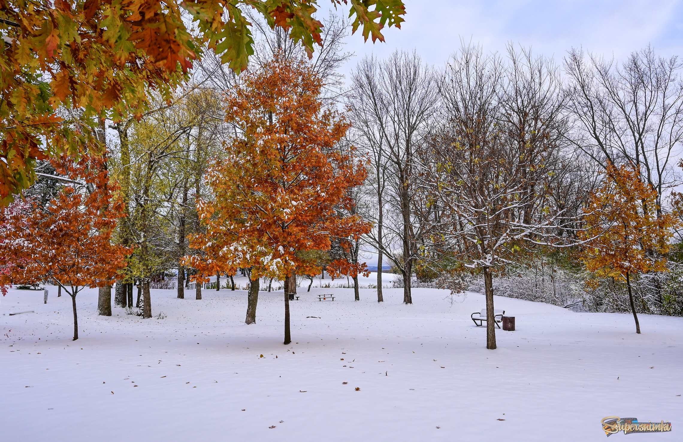 Когда выпадает первый снег