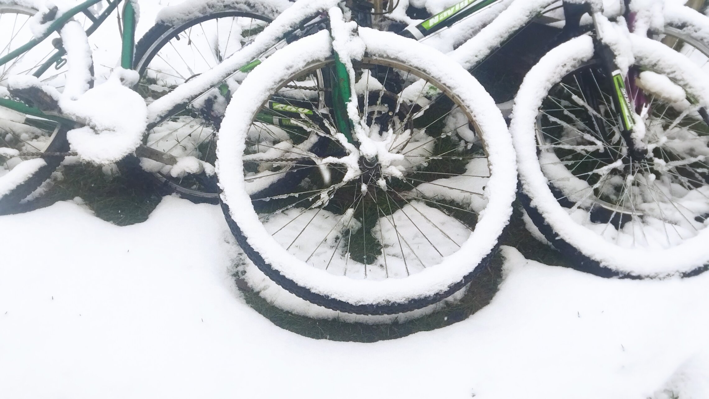 свидание в Зимнегорске