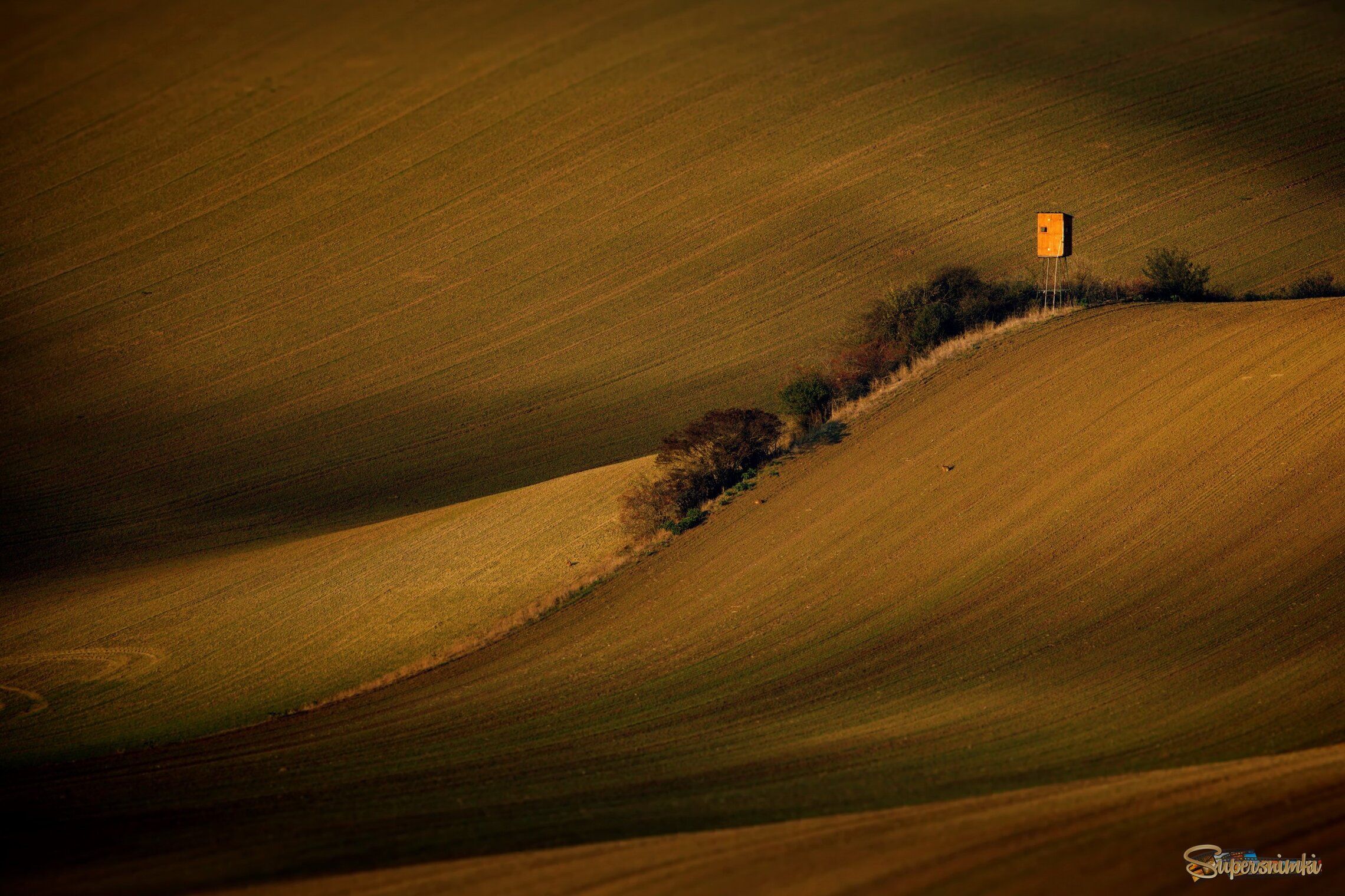 Волнистость