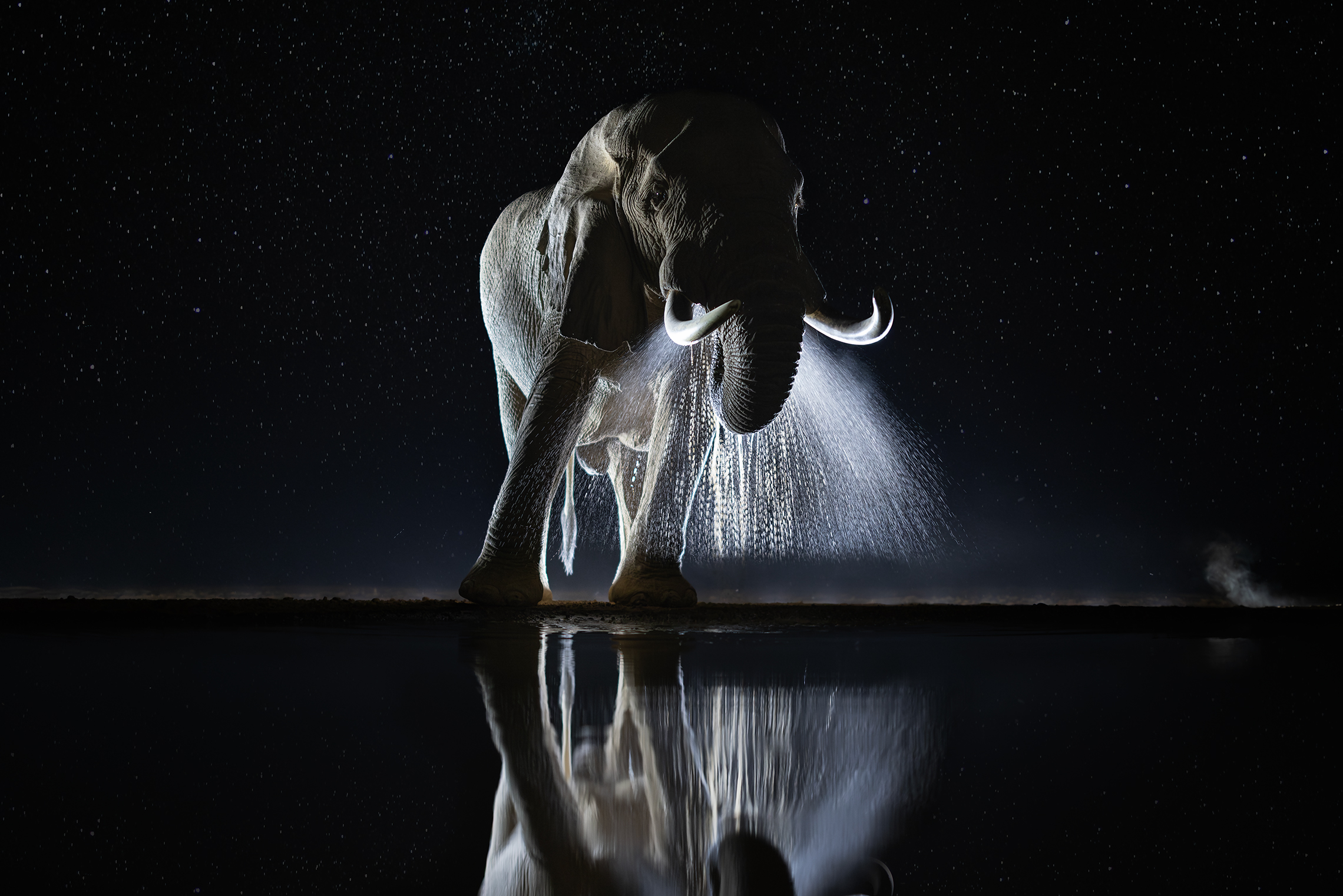 Ночной гость